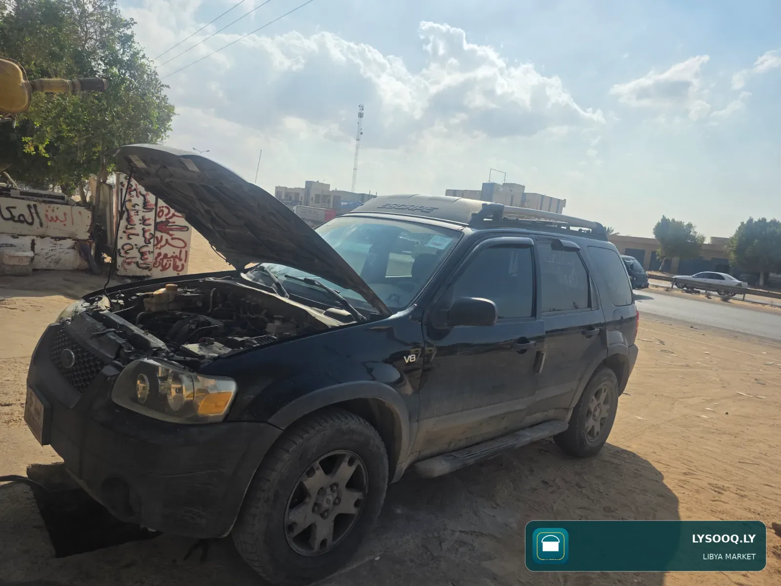 فورد سكيب